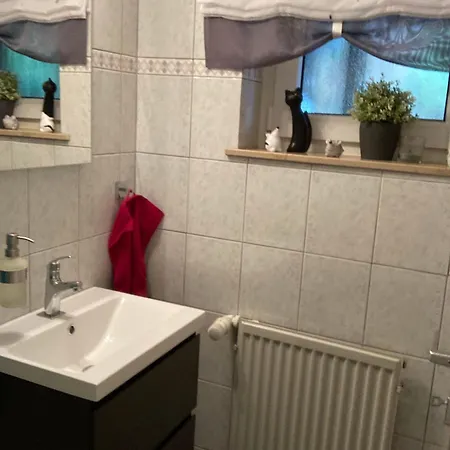 Landhaus-postwiese Dom wakacyjny Winterberg