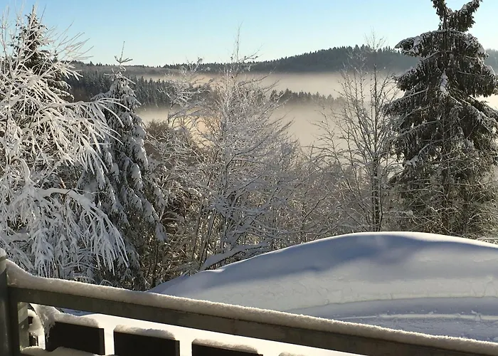 Landhaus-postwiese Winterberg